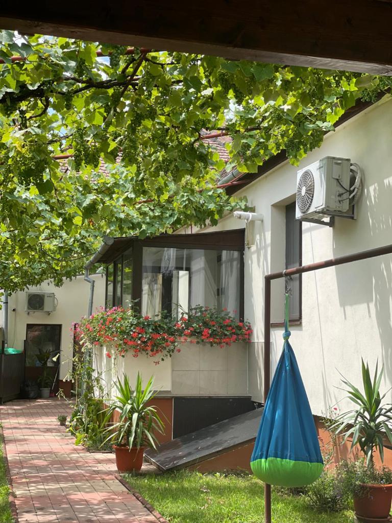 Ana'S Home Sibiu Luaran gambar